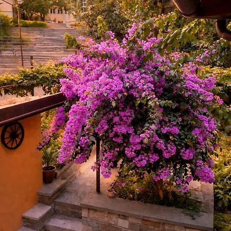 Appartamento Apartma Pozzo Longo
